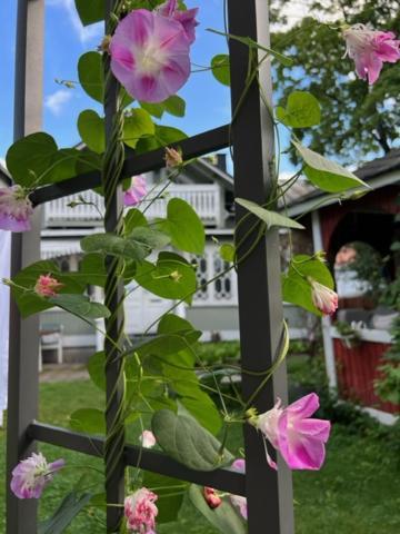 Hotelli Kaivo Naantali Ngoại thất bức ảnh
